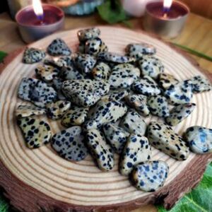 Kit 12 Pedras Jaspe Dalmata 1 a 2cm - Cristal do Otimismo - Cristal Natural