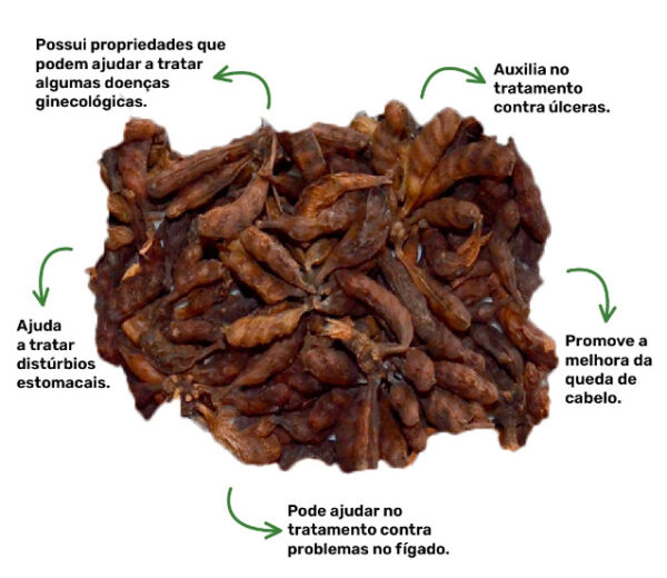 FAVA BEJERECUM - PIMENTA DE MACACO - PACOTE 5G - Imagem 2