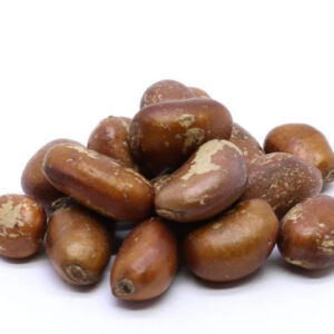 ARIO - FAVA DE OGUM