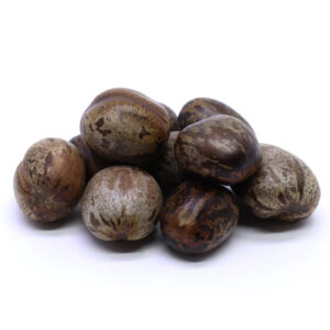 FAVA DE OMOLU