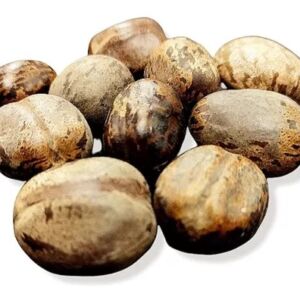 FAVA DE OBALUAE