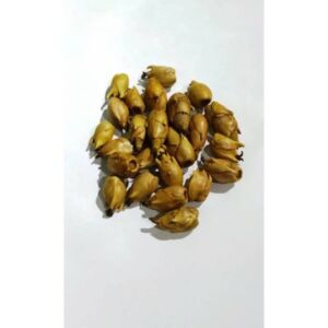 FAVA FLOR DE OXUM