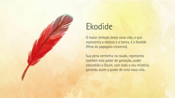 PENA DE ECODIDÉ AFIRCANA - EKODIDÉ - Image 2