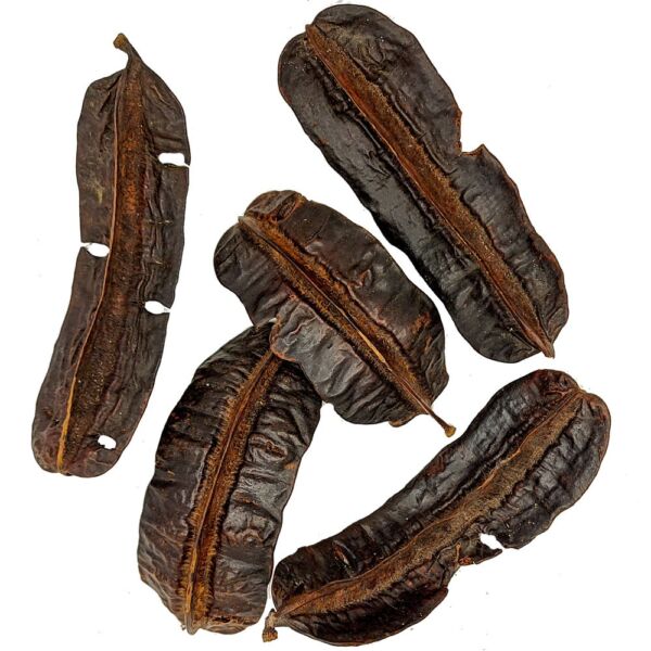FAVA DE ARIDÃ