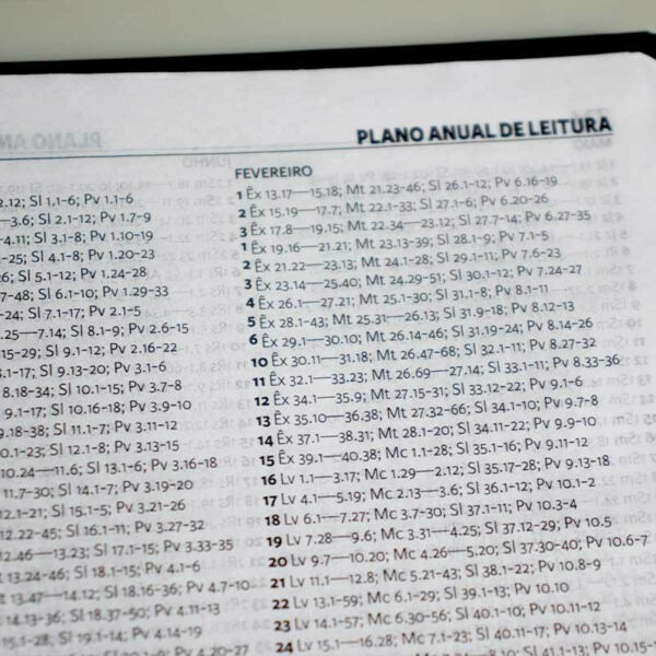 BIBLIA SAGRADA VIVA CAPA DURA ROSÊ 735 PAGINAS - Image 4