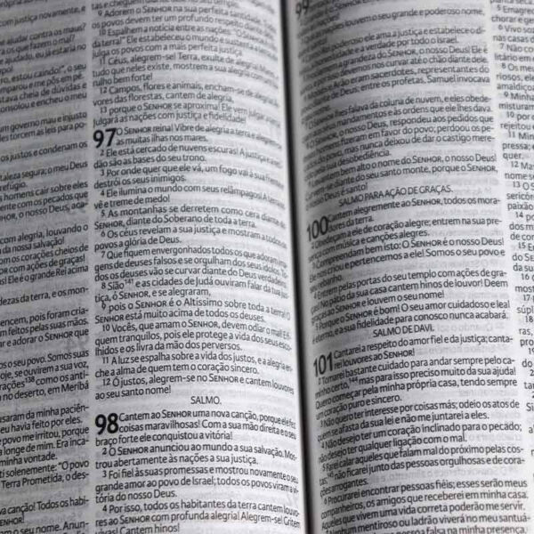 BIBLIA SAGRADA VIVA CAPA DURA ROSÊ 735 PAGINAS - Image 3