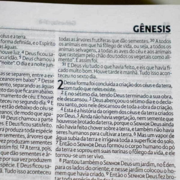 BIBLIA SAGRADA VIVA CAPA DURA ROSÊ 735 PAGINAS - Image 6