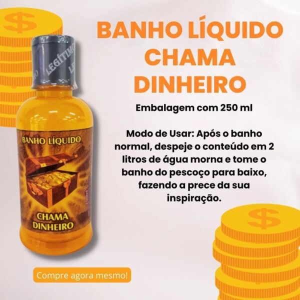 BANHO LÍQUIDO CHAMA DINHEIRO 250 ML - PORTO FIRME