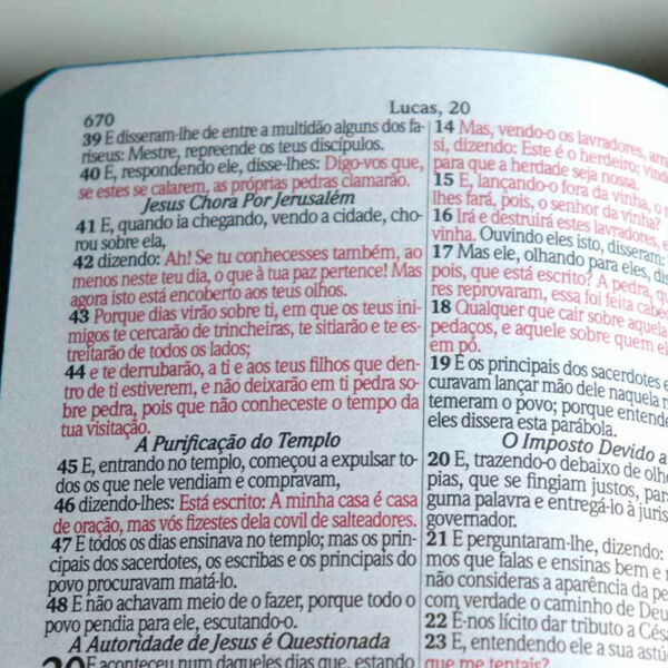 BIBLIA SAGRADA LETRA GRANDE COM HARPA AVIVADA E COURINHOS CAPA DURA PAI FILHO E ESPIRITO 800 PÁGINAS - Imagem 4