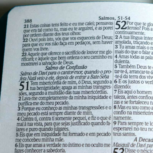 BIBLIA SAGRADA LETRA GRANDE COM HARPA AVIVADA E COURINHOS CAPA DURA PAI FILHO E ESPIRITO 800 PÁGINAS - Imagem 6