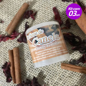 KIT 3 VELAS PERFUMADAS AROMATIZADAS CANELA REFIL 100% PARAFINA 90G - SANTA TEREZINHA