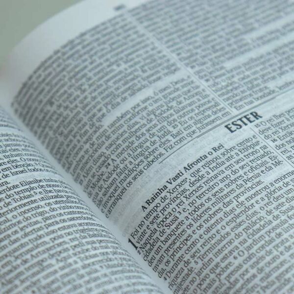 BIBLIA SAGRADA NVI CAPA DURA FILHA E SERVA 735 PAGINAS - Imagem 3