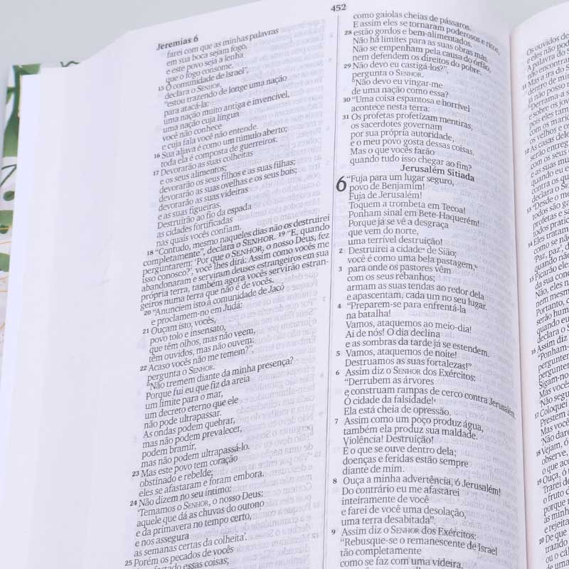 BIBLIA SAGRADA NVI CAPA DURA LION CRUZ 735 PAGINAS – Casa Fé