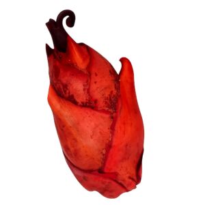 FAVA DO AMOR FLOR DE POMBA GIRA - 1 UNIDADE