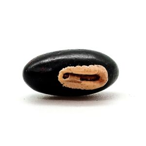 FAVA DE PRETO VELHO - 1 UNIDADE