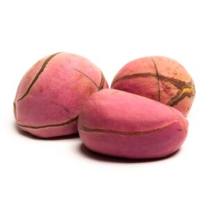 OBI AFRICANO 4 GOMOS - 01 UNIDADE